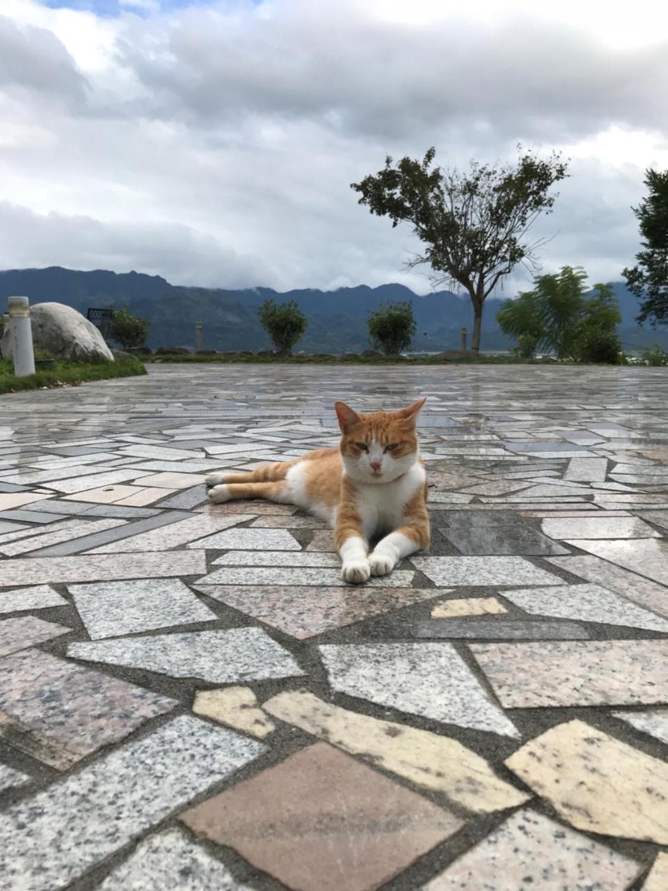 旭日山庄民宿 玉里镇 外观 照片